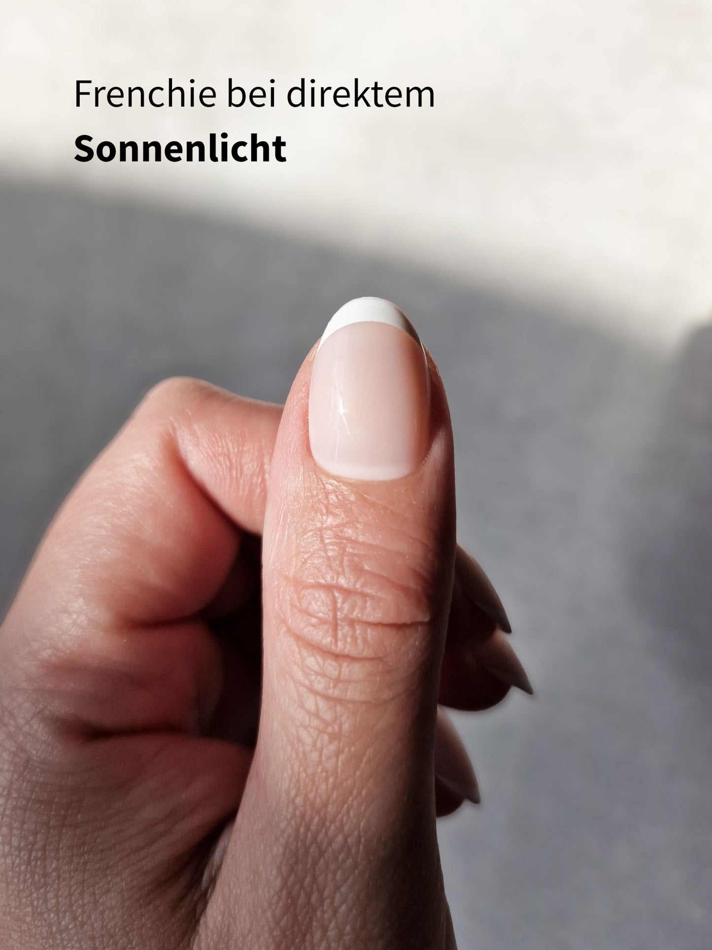 Frenchie - Short Oval - Press-Ons