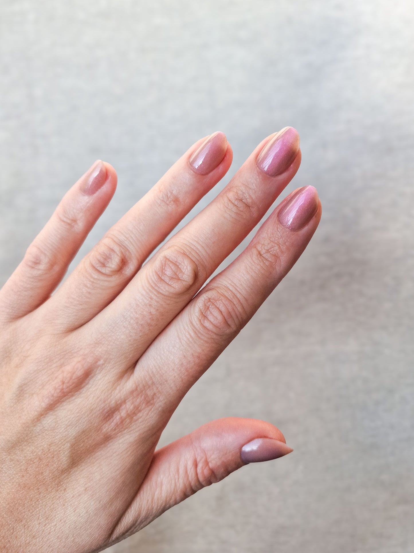 Rosewood Romance - Short Oval - Velvet Cat Eye Press-Ons