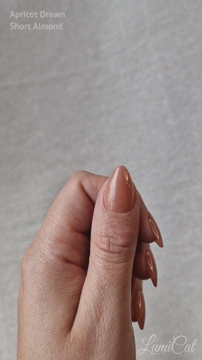 Apricot Dream - Short Almond - Pearly Press-Ons