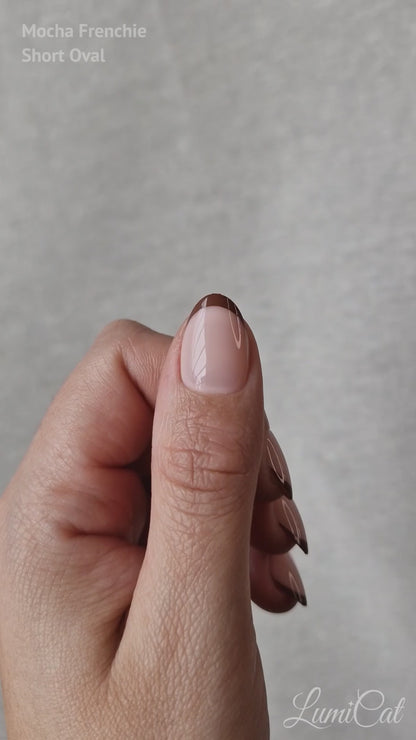 Mocha Frenchie - Short Oval - Press-Ons